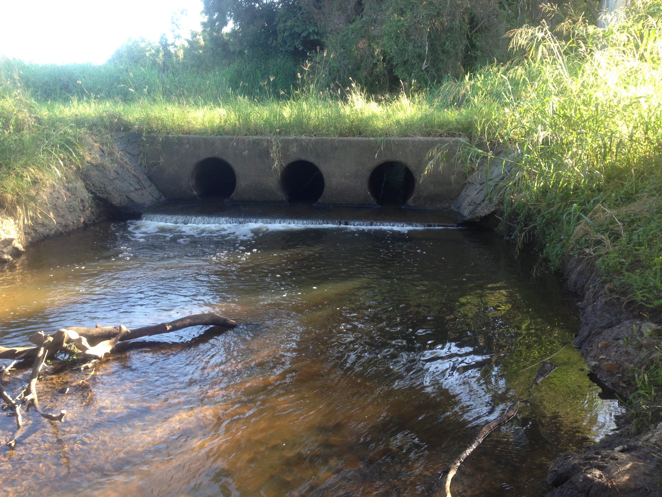 Pimpana River.