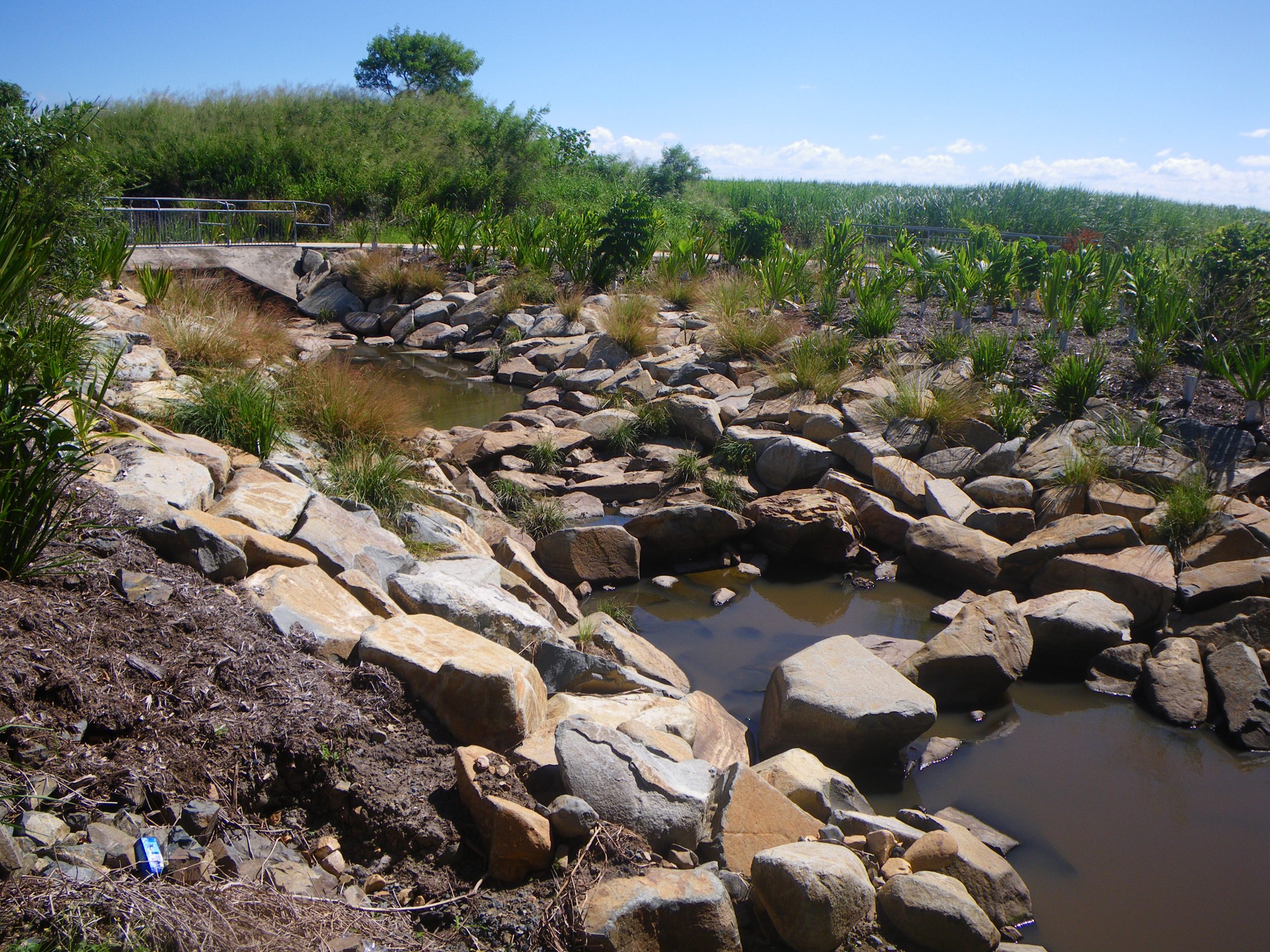 Rock ramp fishway.