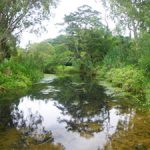 Blackrock Creek.