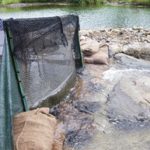 Cone trap used by CS Environmental to sample Forbes Road fishway.