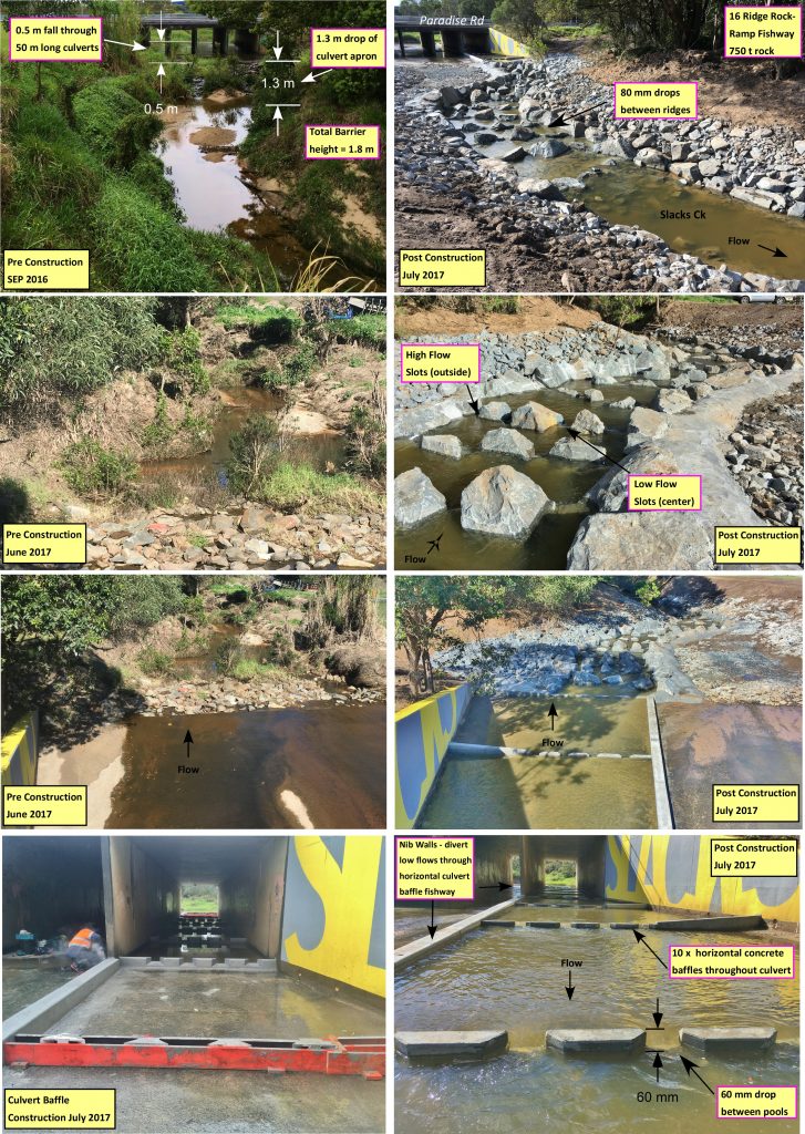Showing Pre and post Slacks Creek fishway construction