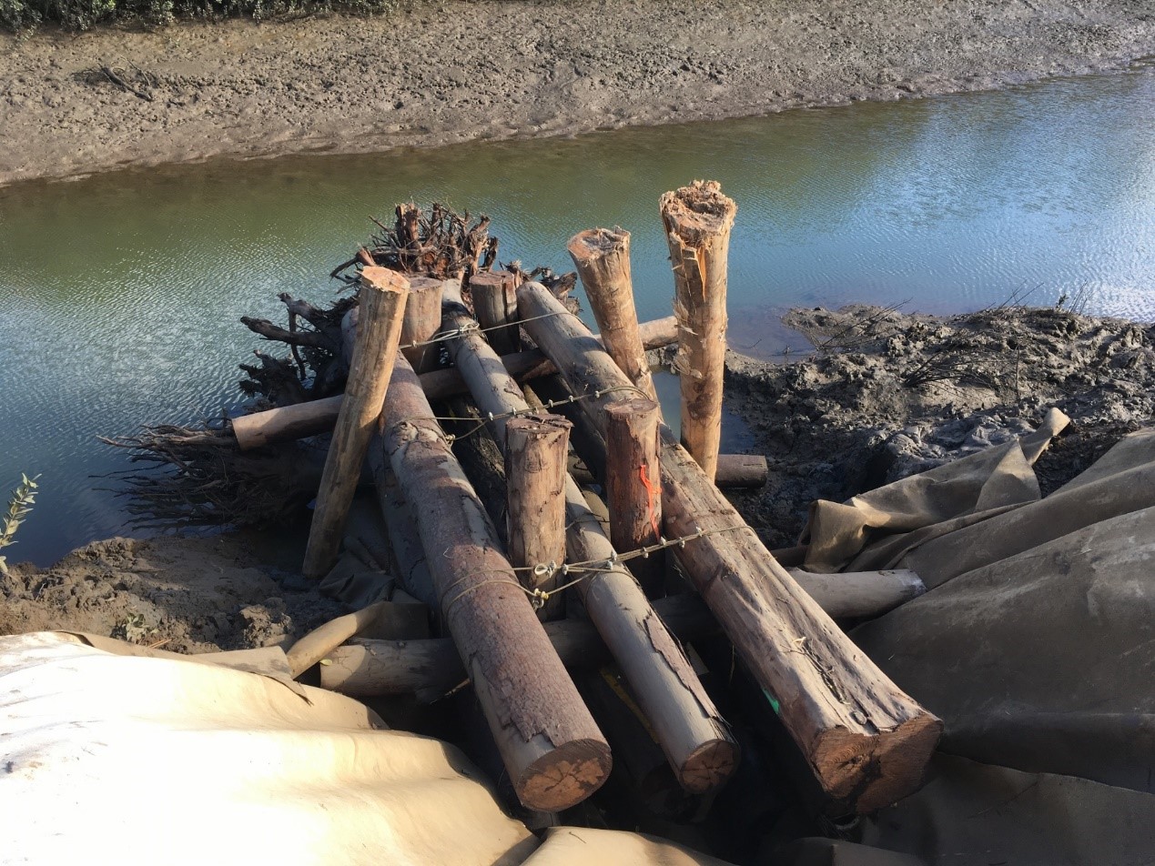 Clyde Creek Structure with fibre core wire rope secured and 7 m pin logs driven into substrate for further stabilisation.