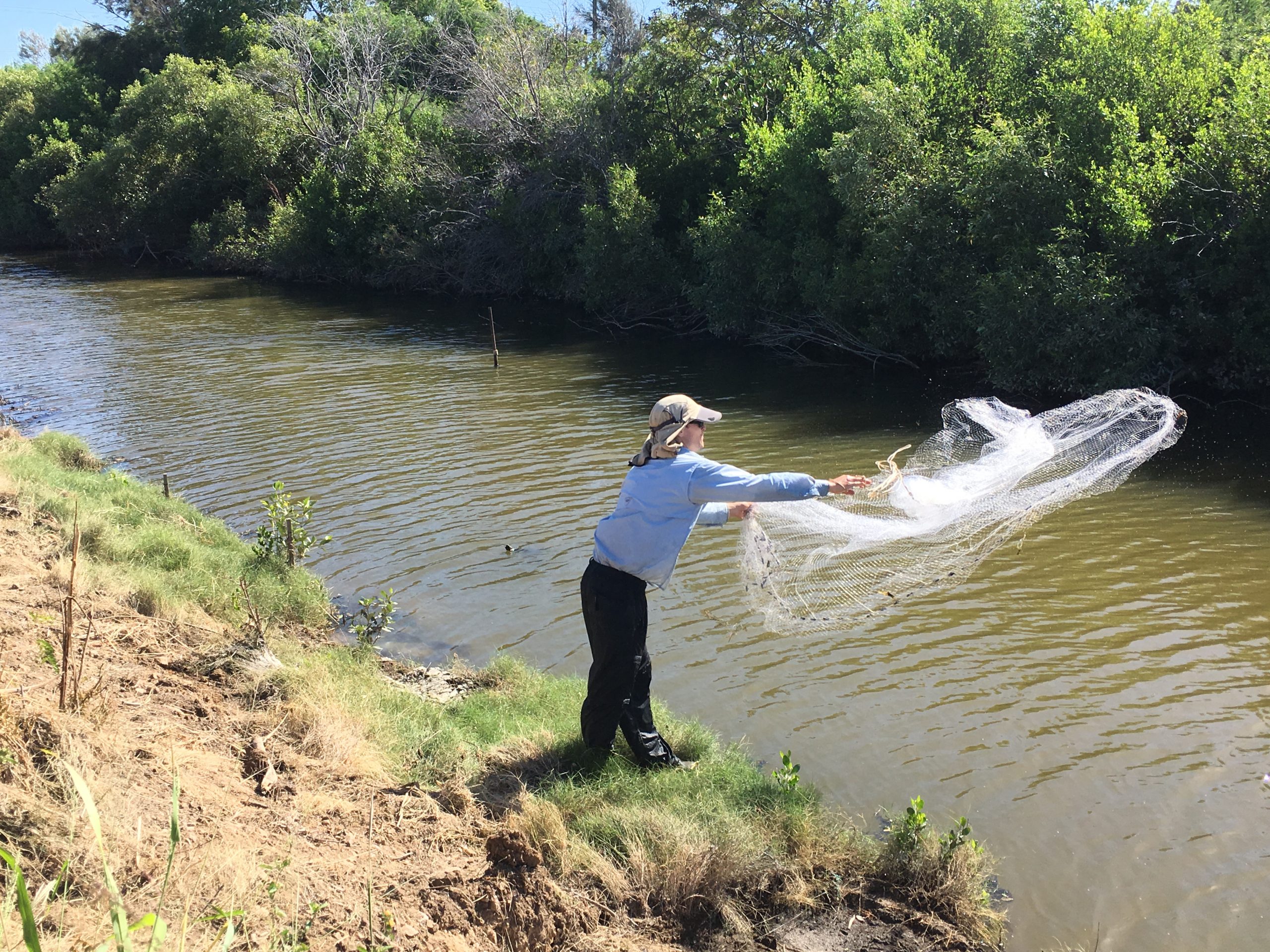 Person cat netting at river.