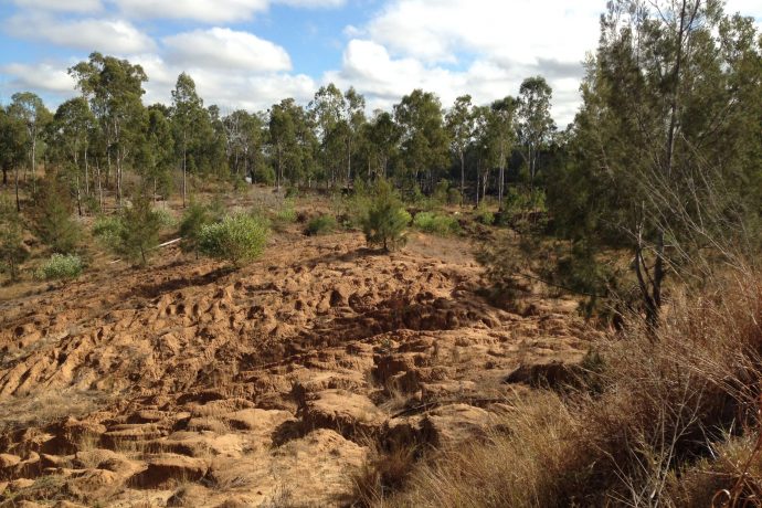 Collinsdale creek erosion.
