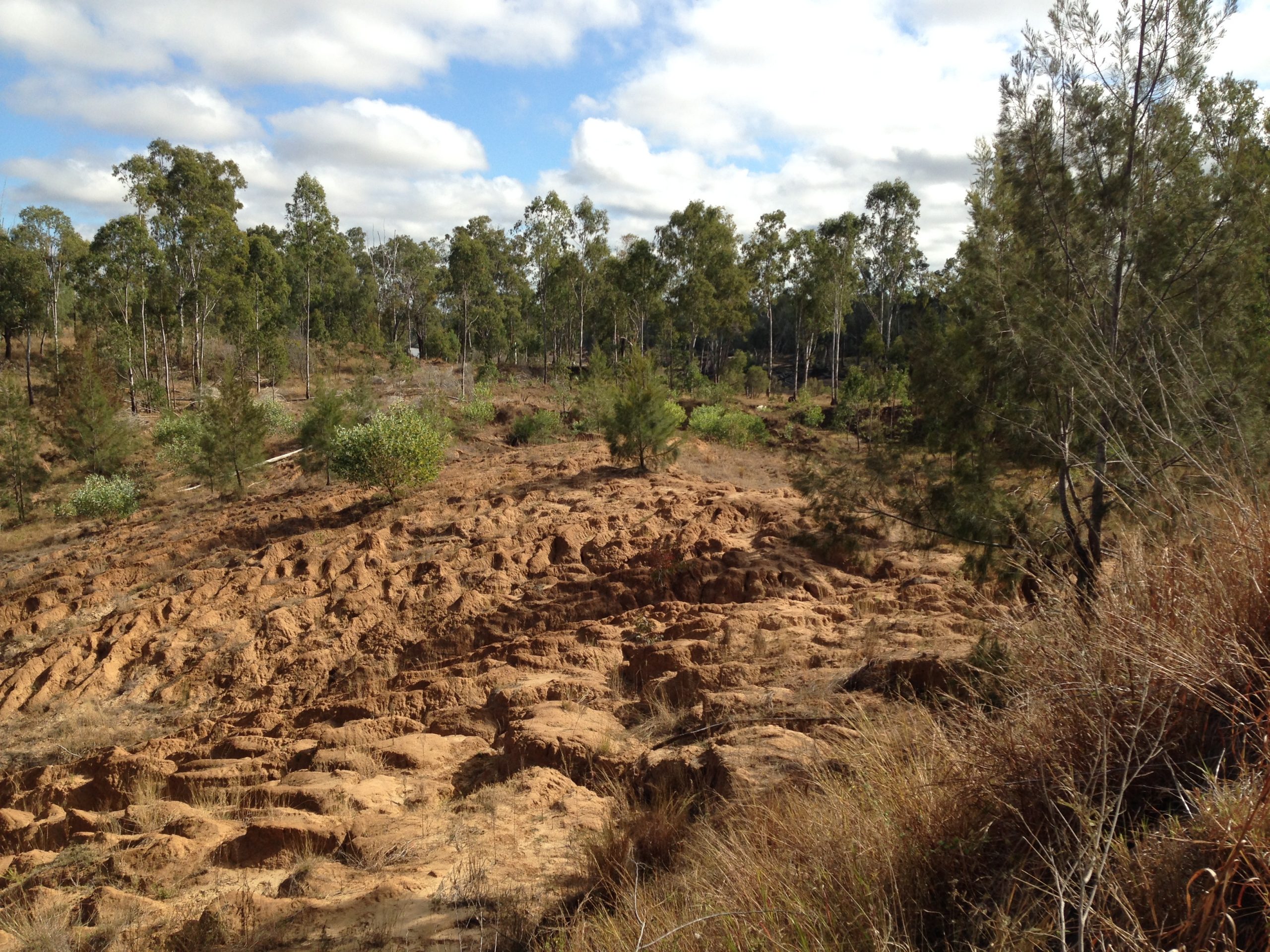 Collinsdale creek erosion.
