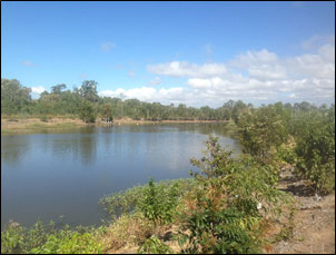 Bakers Creek treatment train wetlands, designed to improve runoff water quality and provide habitat for valuable fisheries species.