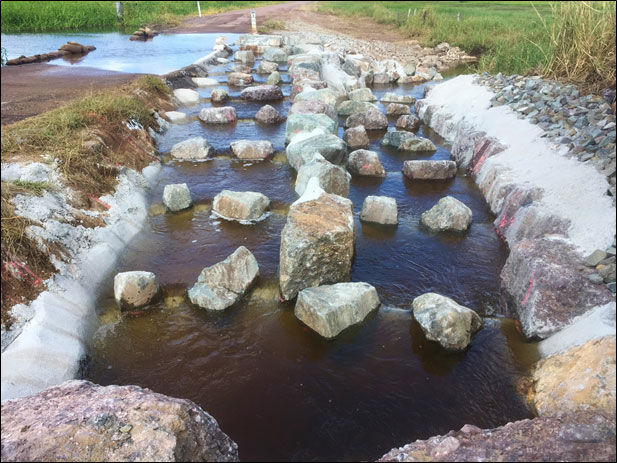 Fishladder completed by fish passage specialists CS Environmental connecting upper tidal habitats to wetland habitats for juvenile diadromous Australian native fish, during its first flow event.