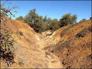 Ogmore remediation project.