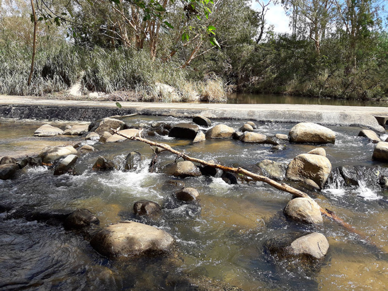Blackrock Creek Fishway in Operation 2