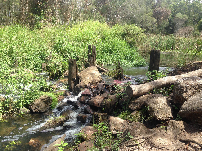 CS Environmental Hilliards Creek Weir Barrier up view