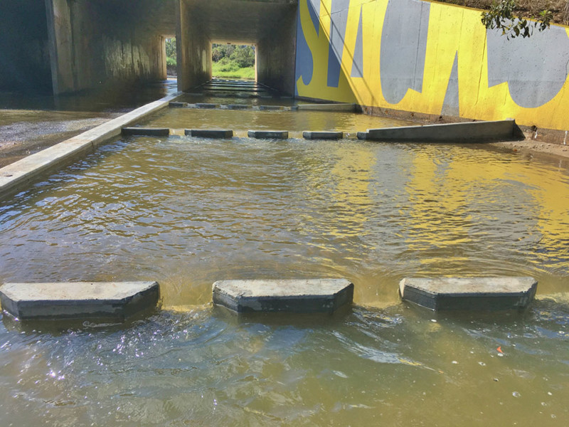 Slack Creek Paradise Baffles