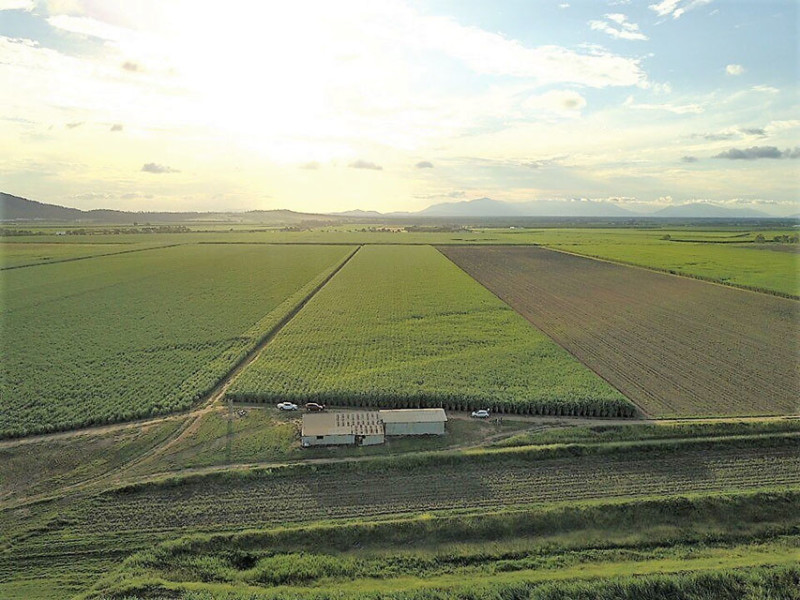 Project Catalyst alternate row irrigation trial