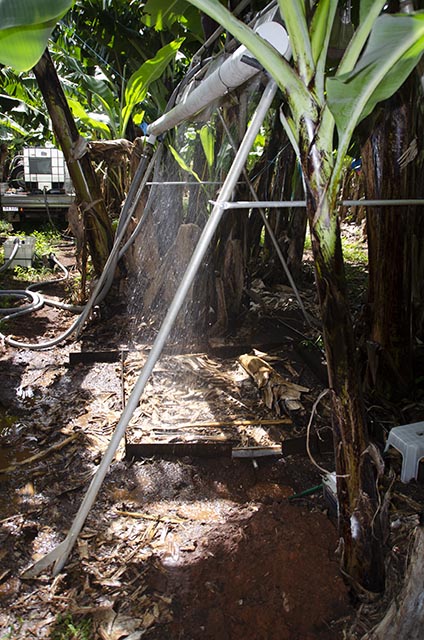 Banana trash runoff trials
