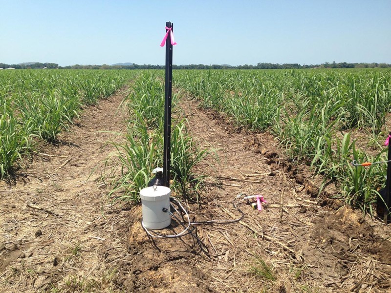 KP Sampler Cane Paddock setup
