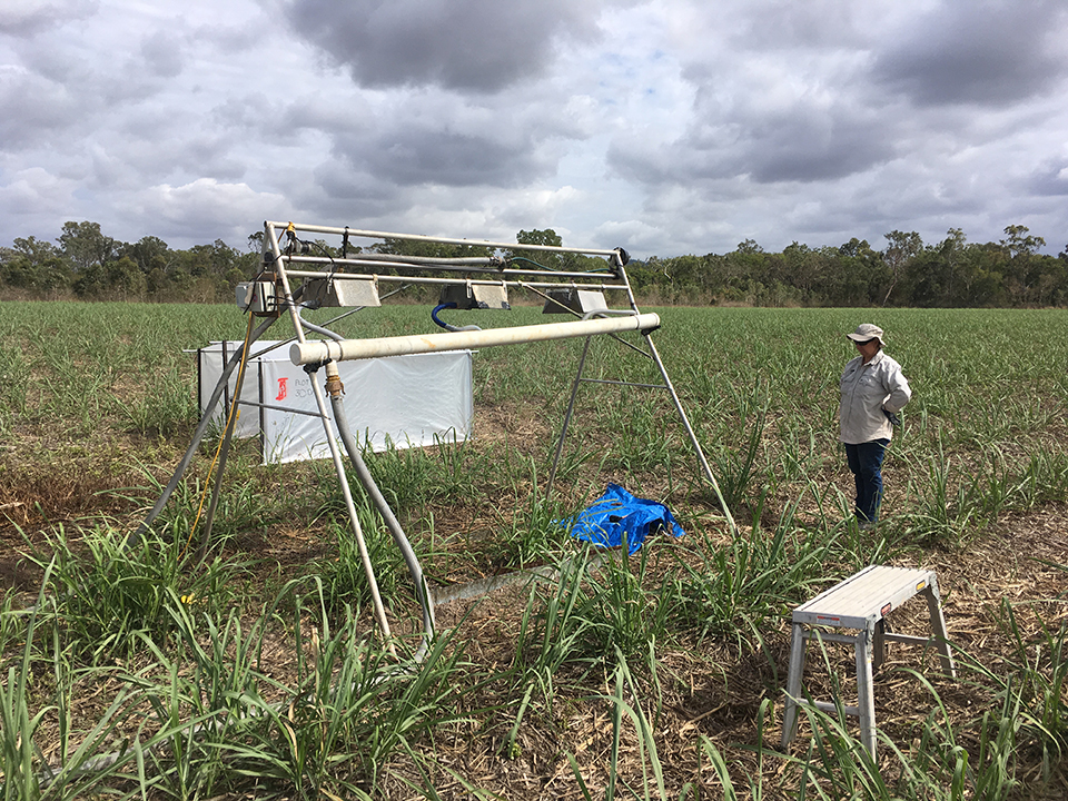 Rainfall Simulator Imidacloprid Trial with Fiona Loft from CS Environmental