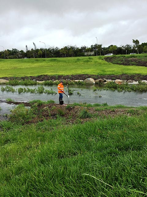 Sample collection Mackay urban site