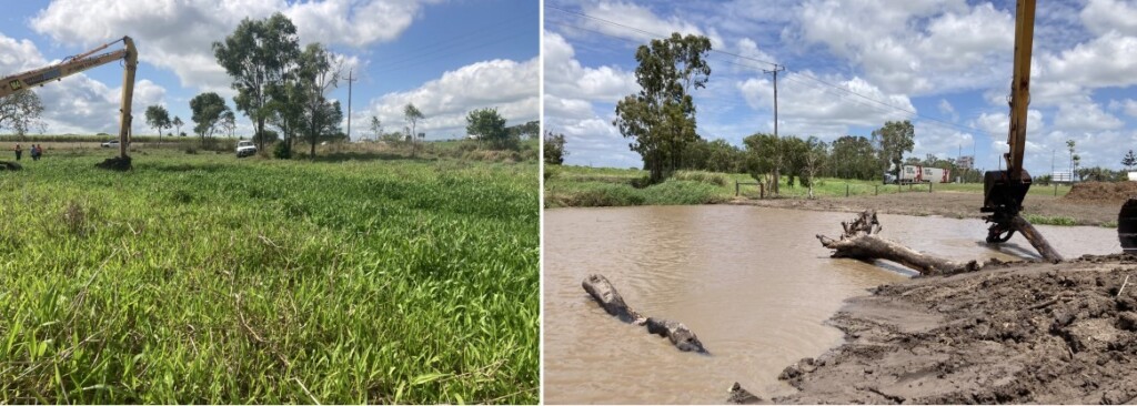 Invasive aquatic weed Hymenachne prior to wetland rehabilitation including hardwood log and root ball fish habitat at Macs Wetland, Mackay by CS Environmental