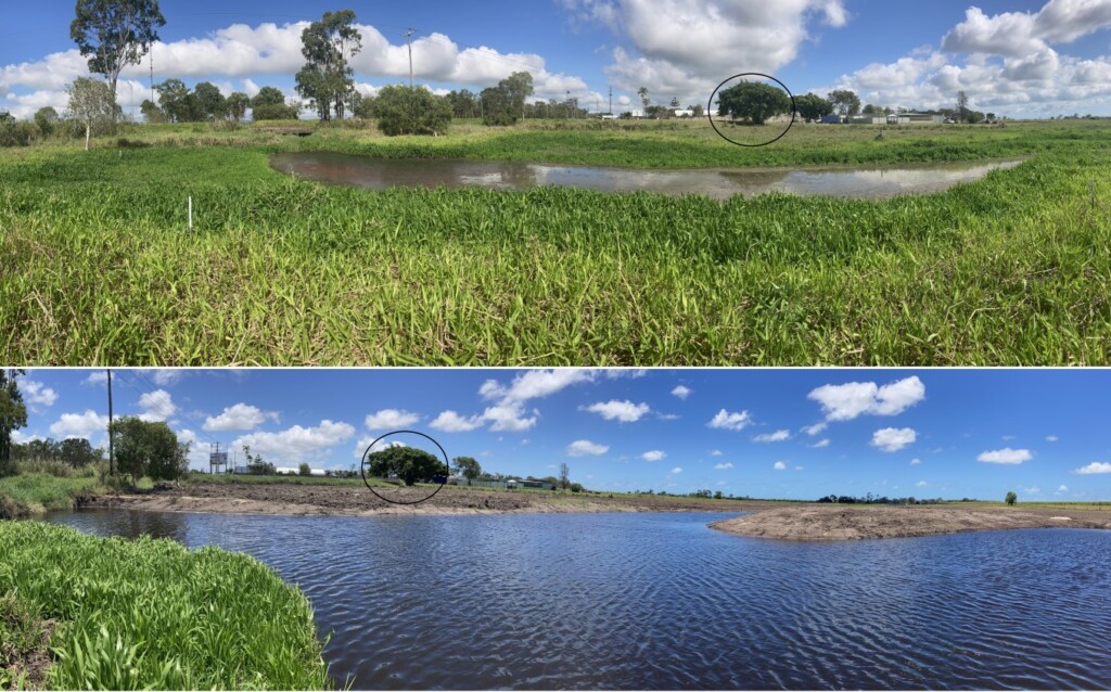 Constructed wetland rehabilitation with deep pool refuge habitat treating farm run-off and improving water quality to the Great Barrier Reef and grazing management
