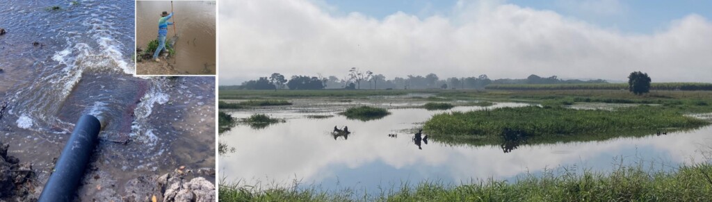 Constructed wetland to treat water quality run-off to Great Barrier Reef, provide fish habitat via deep pool refugia and manage water levels with a pipe for improved grazing management Queensland, Australia.
