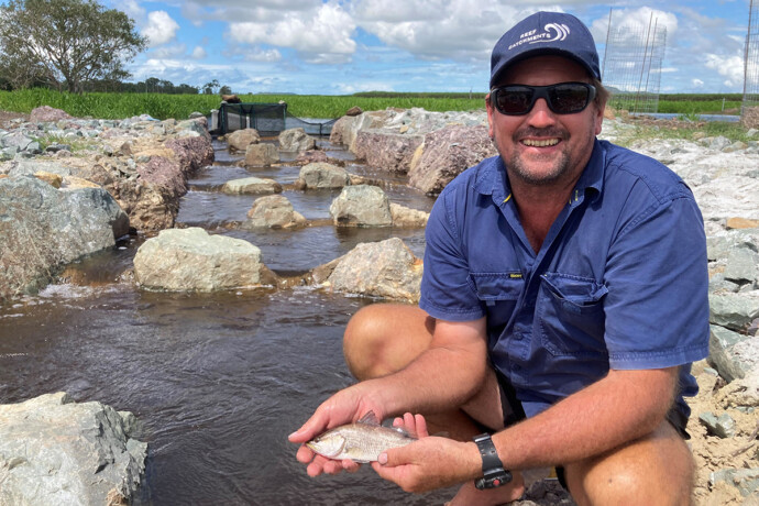 Fishway monitoring at the fishladder Macs Wetlands. Rock ramp fishway sampling or Fishladder monitoring results where juvenile barramundi, giant herring, empire gudgeon, striped scat recorded by CS Environmental sampling fish past a fish barrier, Queensland, Australia.