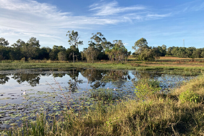 Marklands Station Ponded Pastures and Fishladder Access
