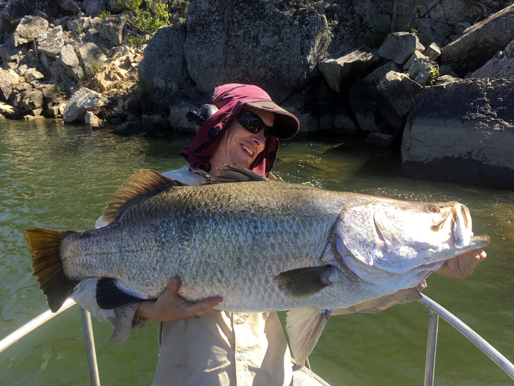 Diadromous freshwater fish species impacted by fish barriers captured during fishway monitoring by CS Environmental including, mangrove jack, jungle perch, opal cling goby and post larvae barramundi
