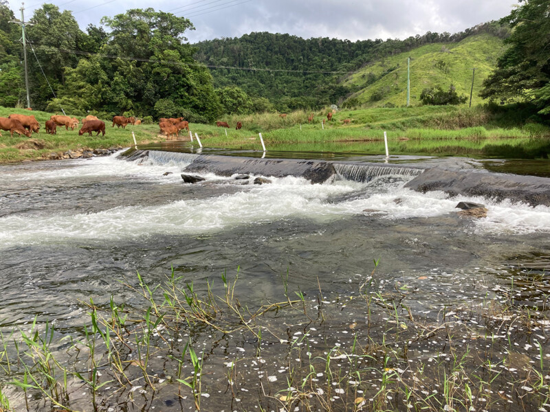 CS Environmental identifying fish habitat restoration sites for improved fish passage