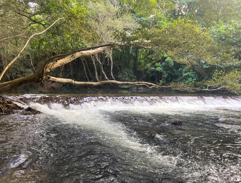 CS Environmental identifying fish habitat restoration sites Wet Tropics, North Queensland