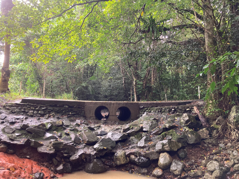 CS Environmental Daintree to lower Barron Rivers fish barrier prioritisation