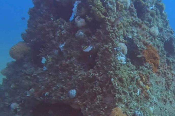 Pyramid Reefs, CS Environmental