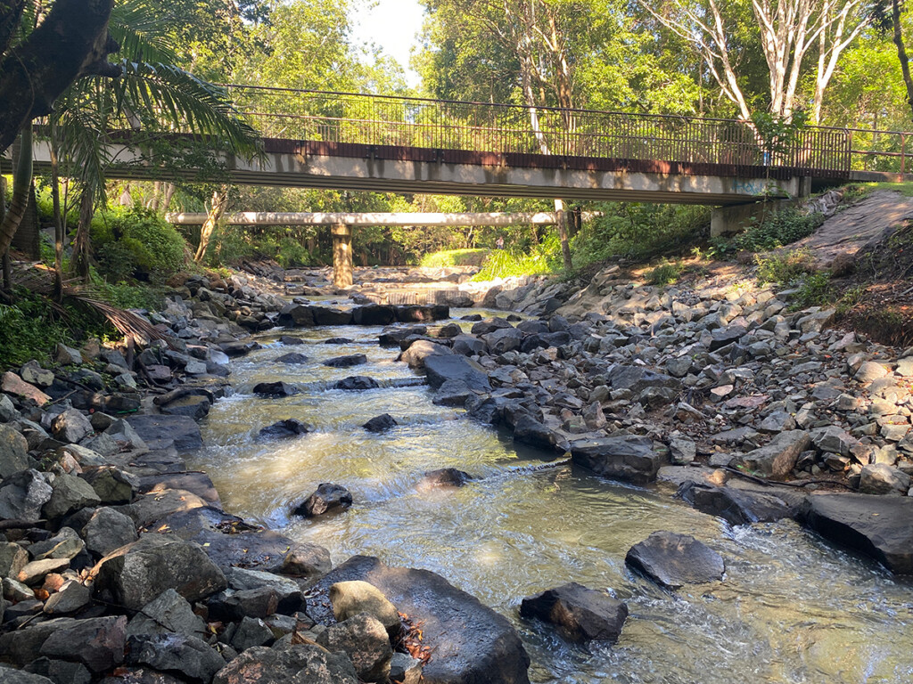 CS Environmental Petrie Creek Fishladder