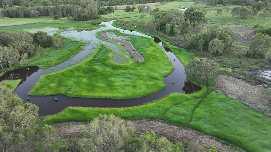 Wetland Walkabout CS Environmental