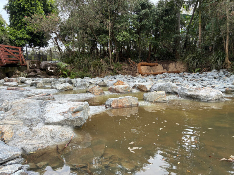 Saltwater Creek Fishladder in the Coomera River catchment on the Gold Coast - CS Environmental