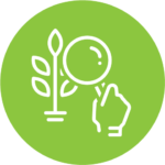 CSE - Rebrand setup -3105- Icon Environmental - Ecological