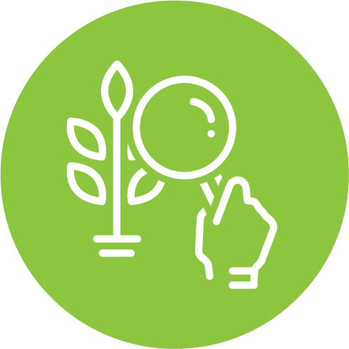 CSE - Rebrand setup -3105- Icon Environmental - Ecological