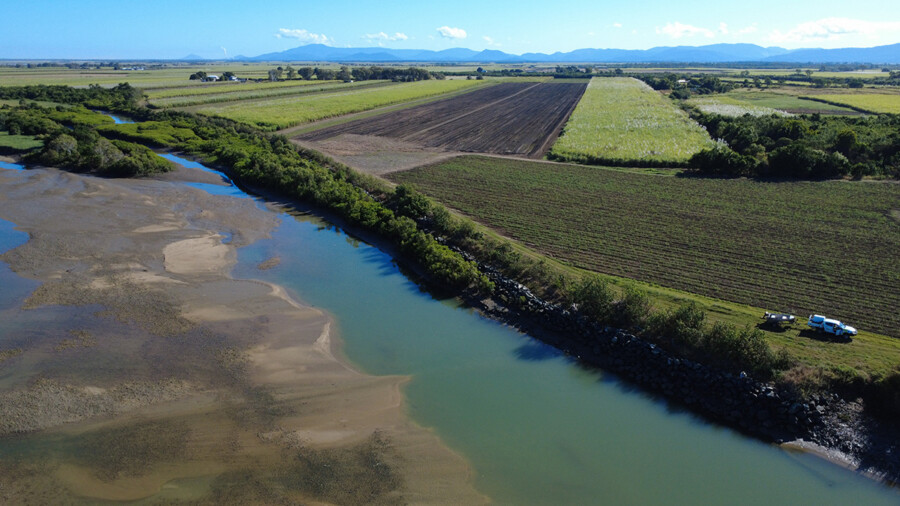 O'Connell River Marine Plant Surveys